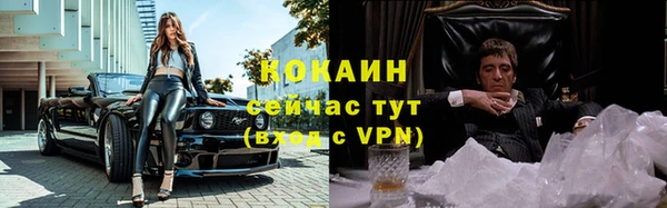крисы Беломорск