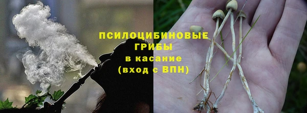 2c-b Богородицк