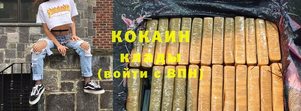 2c-b Богородицк