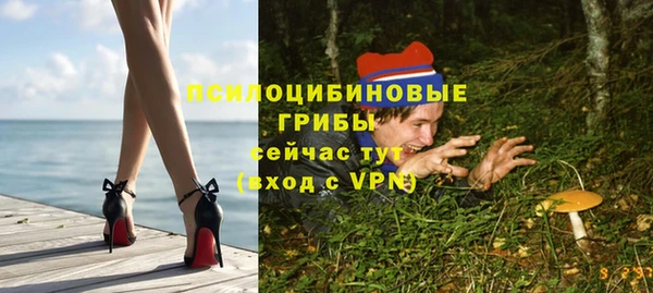 2c-b Богородицк