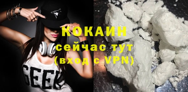 шишки Богородск
