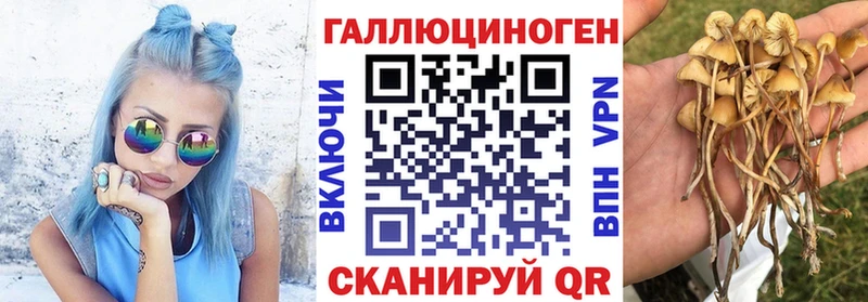 Галлюциногенные грибы MAGIC MUSHROOMS Яранск