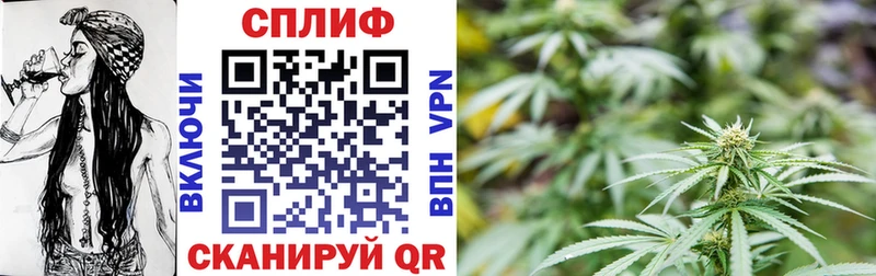 Марихуана семена  продажа наркотиков  Яранск 